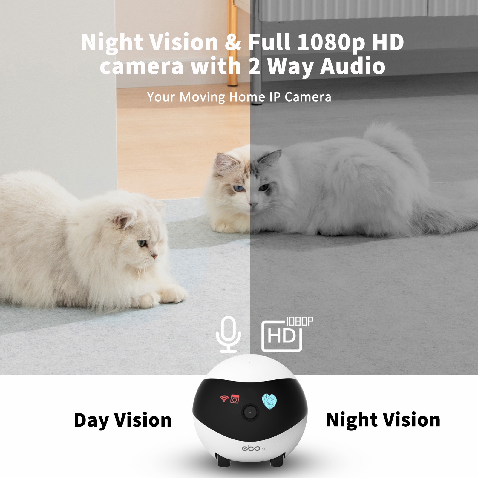 EBO SE Smart Home Robot Compan - Home Security Robot review and price