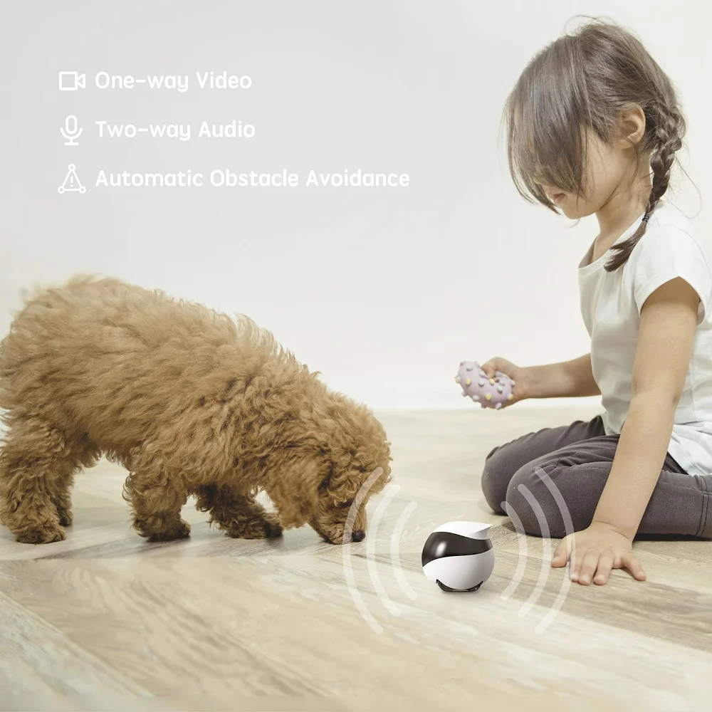 SE Camera Robot for Dog Cat Ba - Home Security Robot Dog review and price