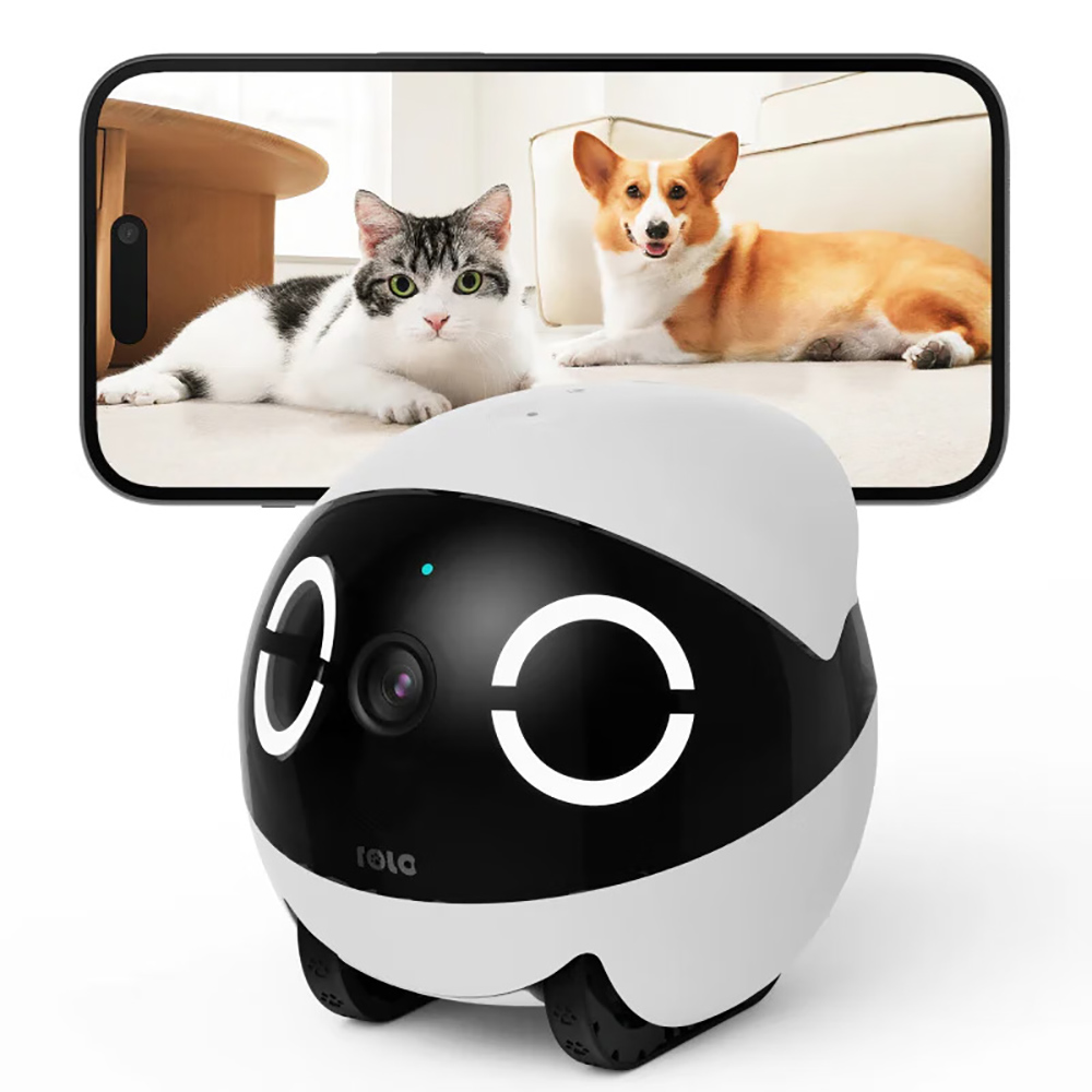 Home Security Pet Tumbler Desi - Home Security Robot review and price