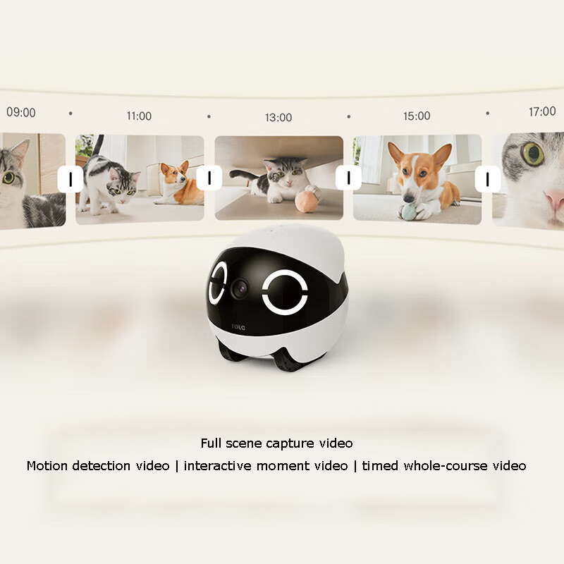 Home Security Pet Tumbler Desi - Home Security Robot review and price