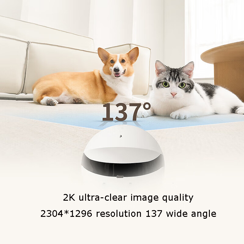 Home Security Pet Tumbler Desi - Home Security Robot review and price